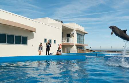 Delfin Berni
