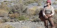 Borrego