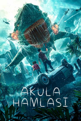 Akula hamlasi