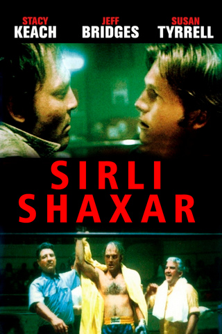 Sirli shaxar