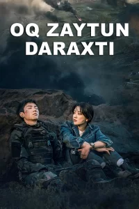 Oq zaytun daraxti