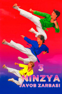 3 nindzya 2: Javob zarbasi