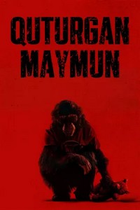 Quturgan maymun